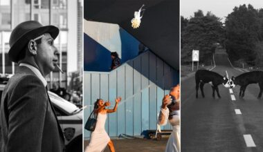 A collage of three photos: a man in a suit and hat in black and white, two women reaching for a thrown bouquet, and two donkeys standing face-to-face on a road with trees in the background.