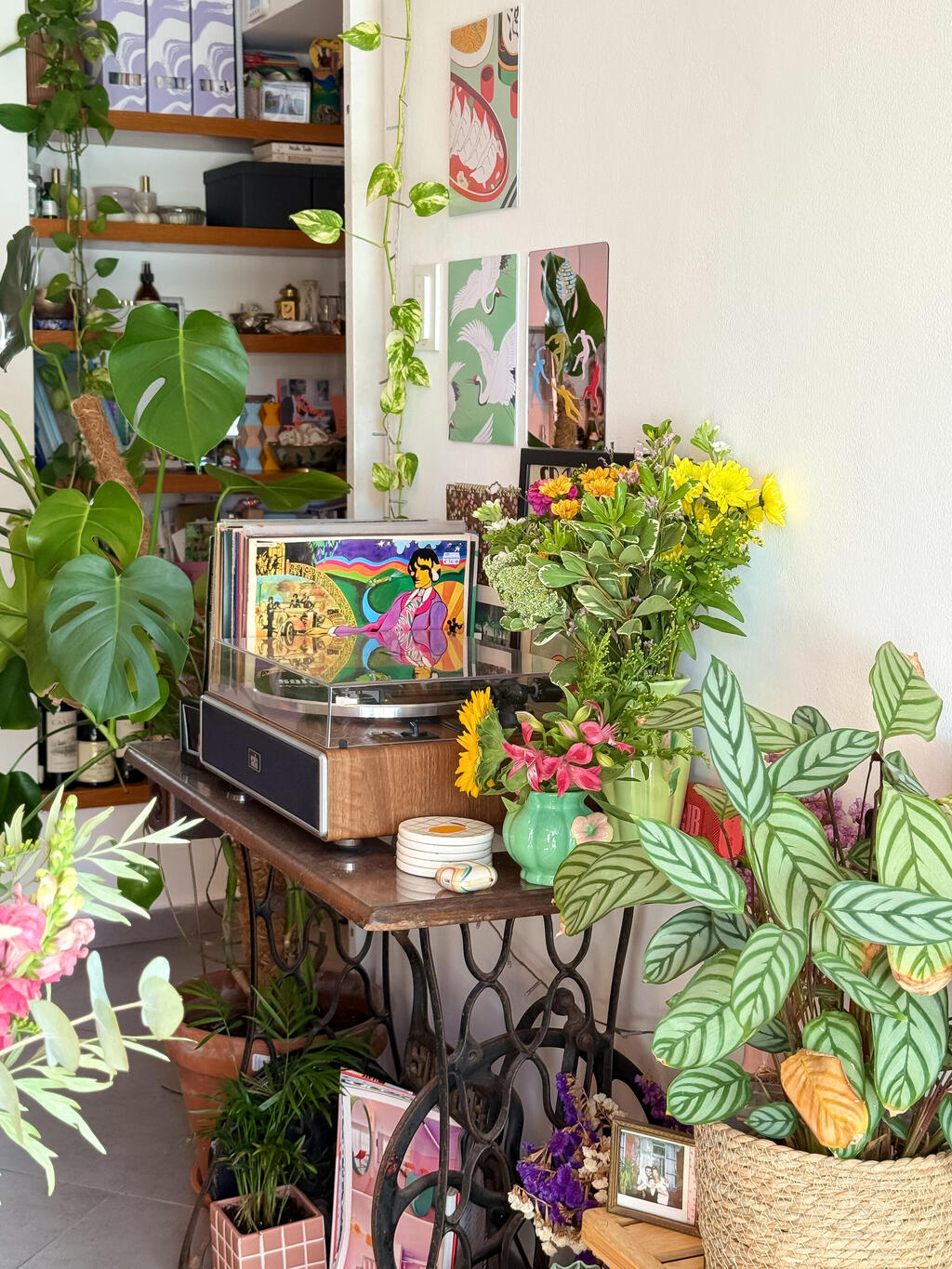 Plenty of shelves and plenty of plants  (Photo: Noam Ron)  הדירה של אביב ונדב, מדור כאן גרים