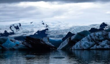Glacier Meltwater Is Less Nutritious for Marine Life