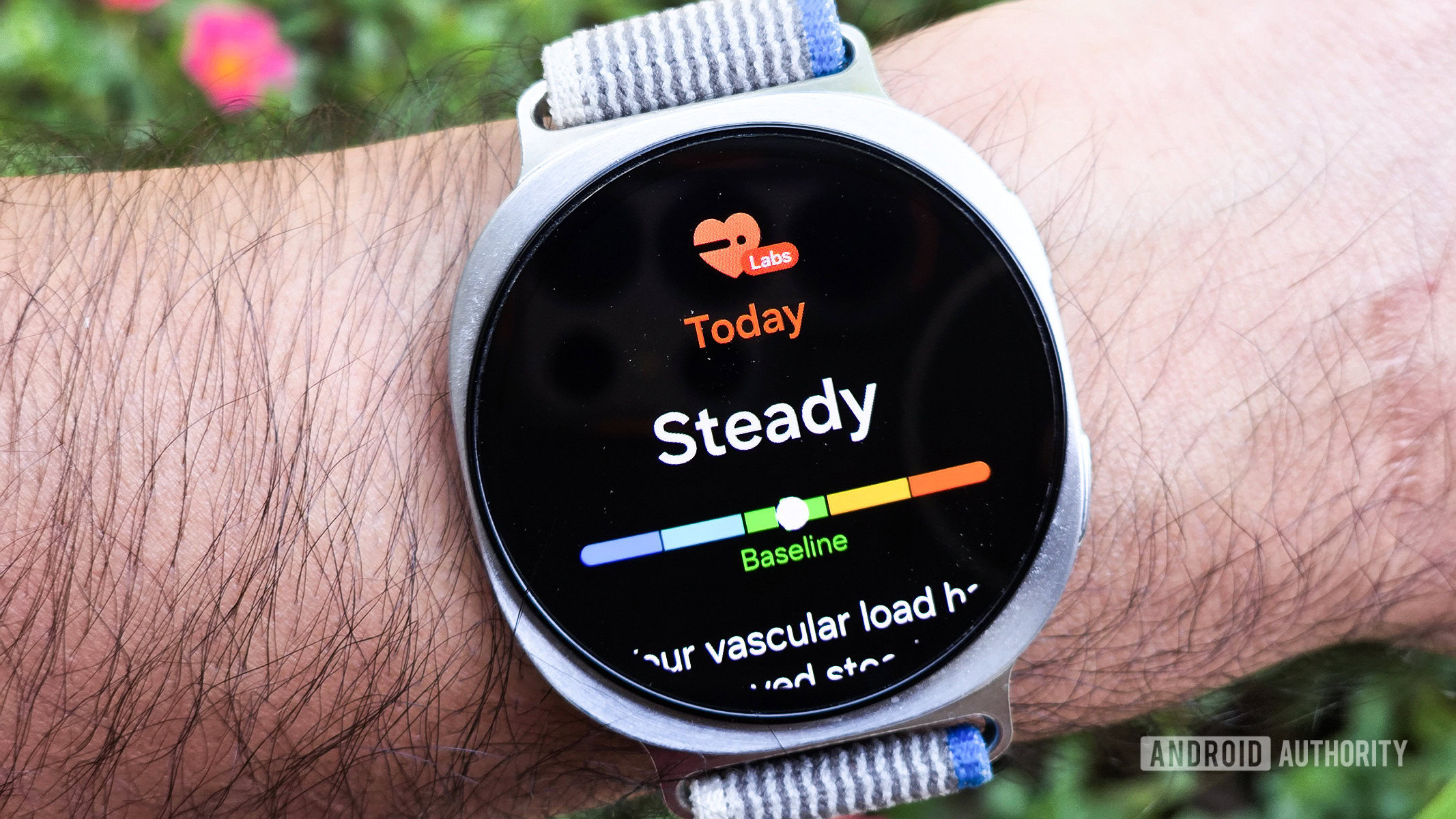 samsung galaxy watch 8 vascular load