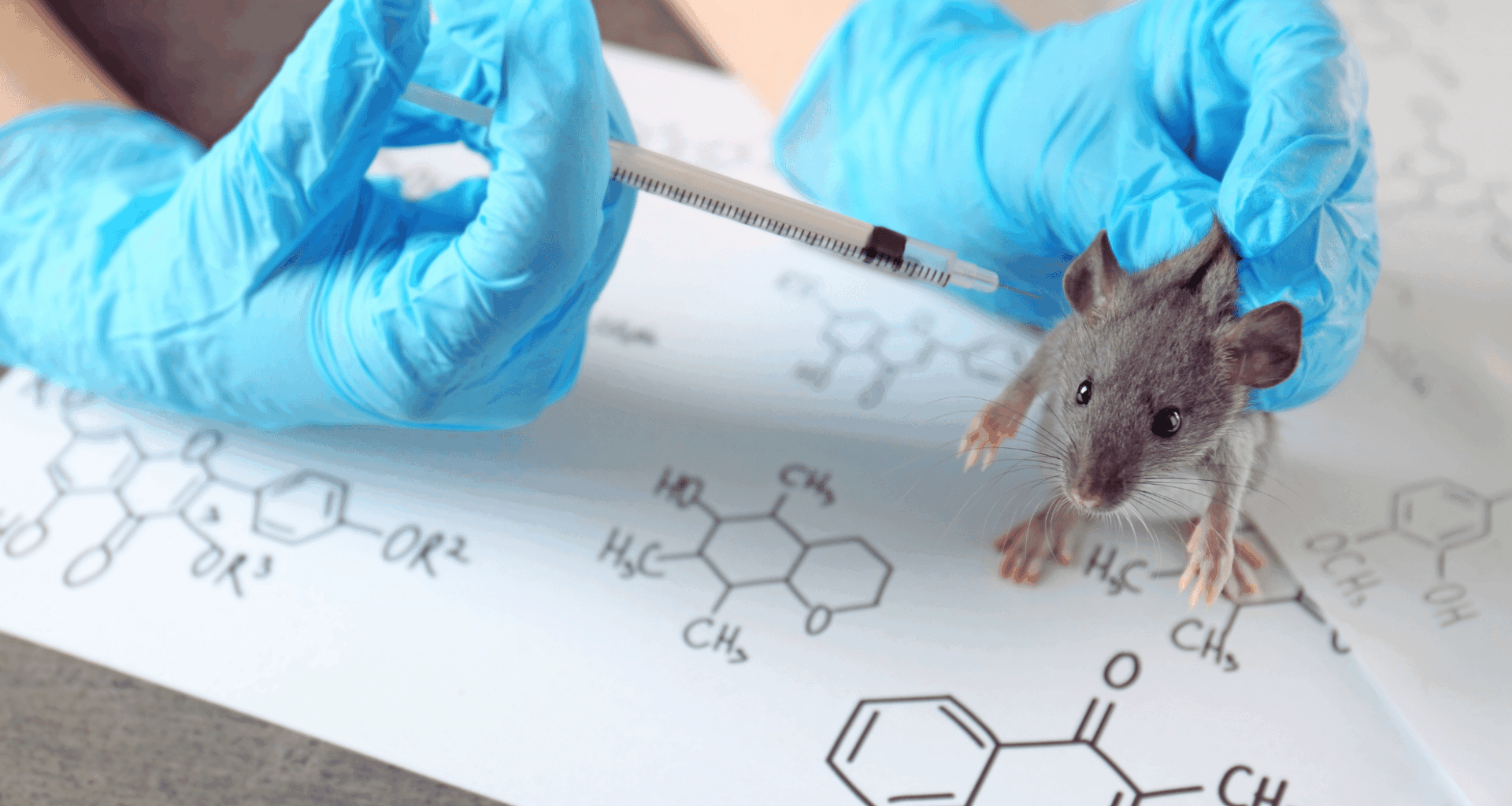 Scientists Insert Neanderthal Genes Into Mice—what Happened Next Left Them Stunned