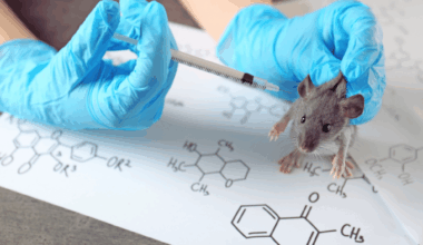 Scientists Insert Neanderthal Genes Into Mice—what Happened Next Left Them Stunned