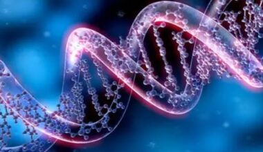 image credit- shutterstock