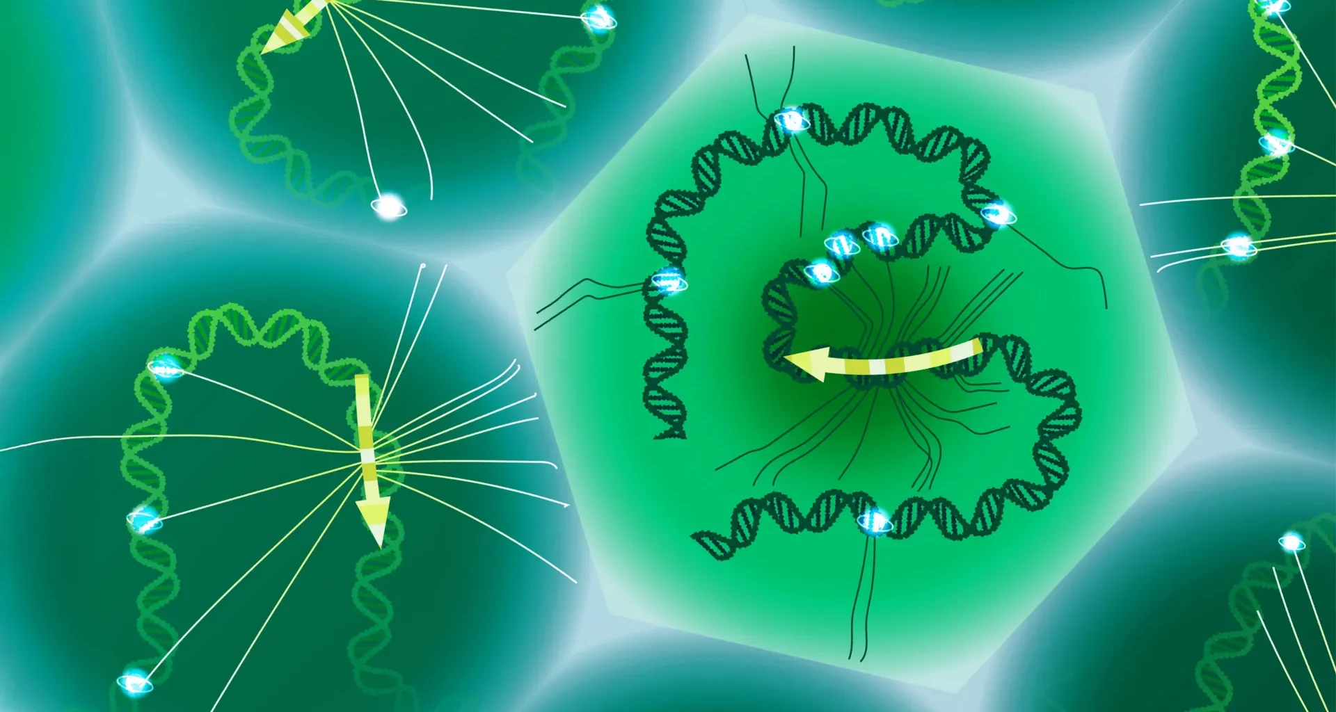 Scientists finally read the hidden DNA code that shapes disease
