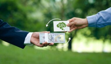 High-Quality Carbon Credit Prices Hit Record Levels, Driven by Integrity and Market Shifts