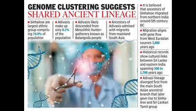 Sinhalese genetically closer to Andhra Pradesh than north India, finds study