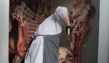 Shrinking herds and rising costs: The beef market is in turmoil - and inflation is spiralling | Money News