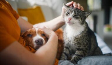 Pic: iStock