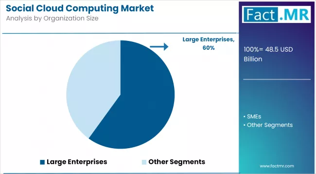 Social Cloud Computing Market Analysis By Organization Size