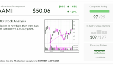 Asset Manager, Up 92% This Year, Reverses Below Buy Point