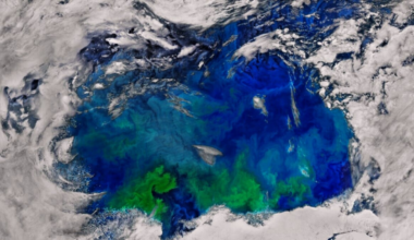 Thermal Time Bomb! Scientists Discover Massive Fireball Hidden Beneath The Ocean