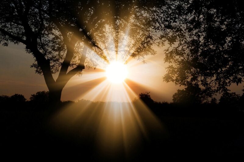 Reflect Orbital: A bright sun with rays bursting through past dark trees and landscape.