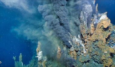 Brighter Side of News