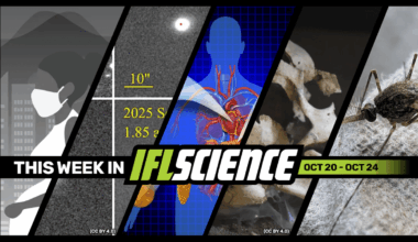 Potential Environmental Trigger For Autism Identified, 3I/ATLAS's Tail Appears To Have Changed Direction, And Much More This Week