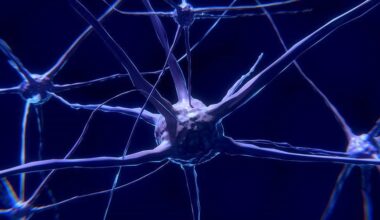 Scientists investigate how living cells could become 'biocomputers'