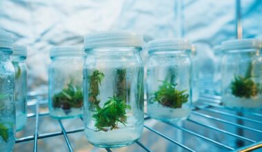 Zennetix Forms Breeders’ Council to Deliver Award-Winning Genetics Through Tissue Culture Technology