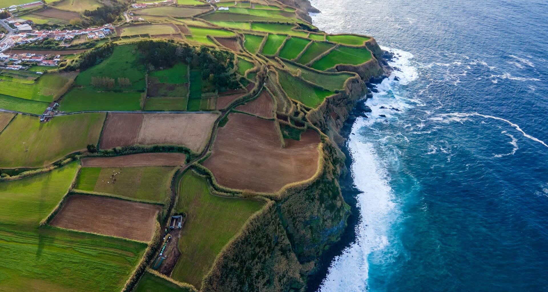 Scientists identified a temperature-related factor affecting all life on Earth, with broad implications for all species as the planet warms.