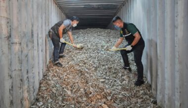 Report says US electronic waste is menacing Southeast Asia