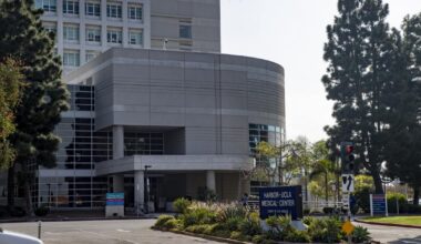 Federal agents held, shackled a seriously injured man to hospital bed for 37 days without explaining why