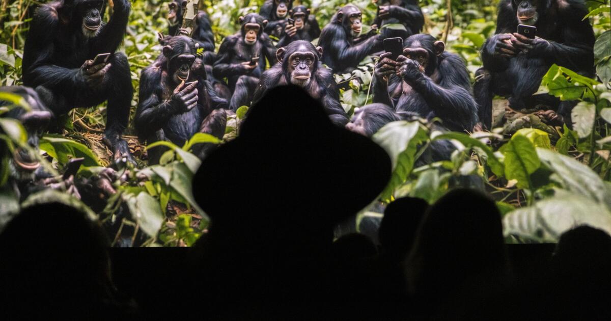 Sora app's hyperreal AI videos ignite online trust crisis as downloads surge