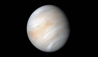 Radioactive water to be dumped into Hudson: US court allows release of contaminated water