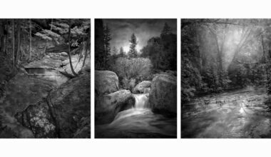 In a digital world, this analog series of photos makes headlines, showcasing beautifully captured black-and-white landscapes