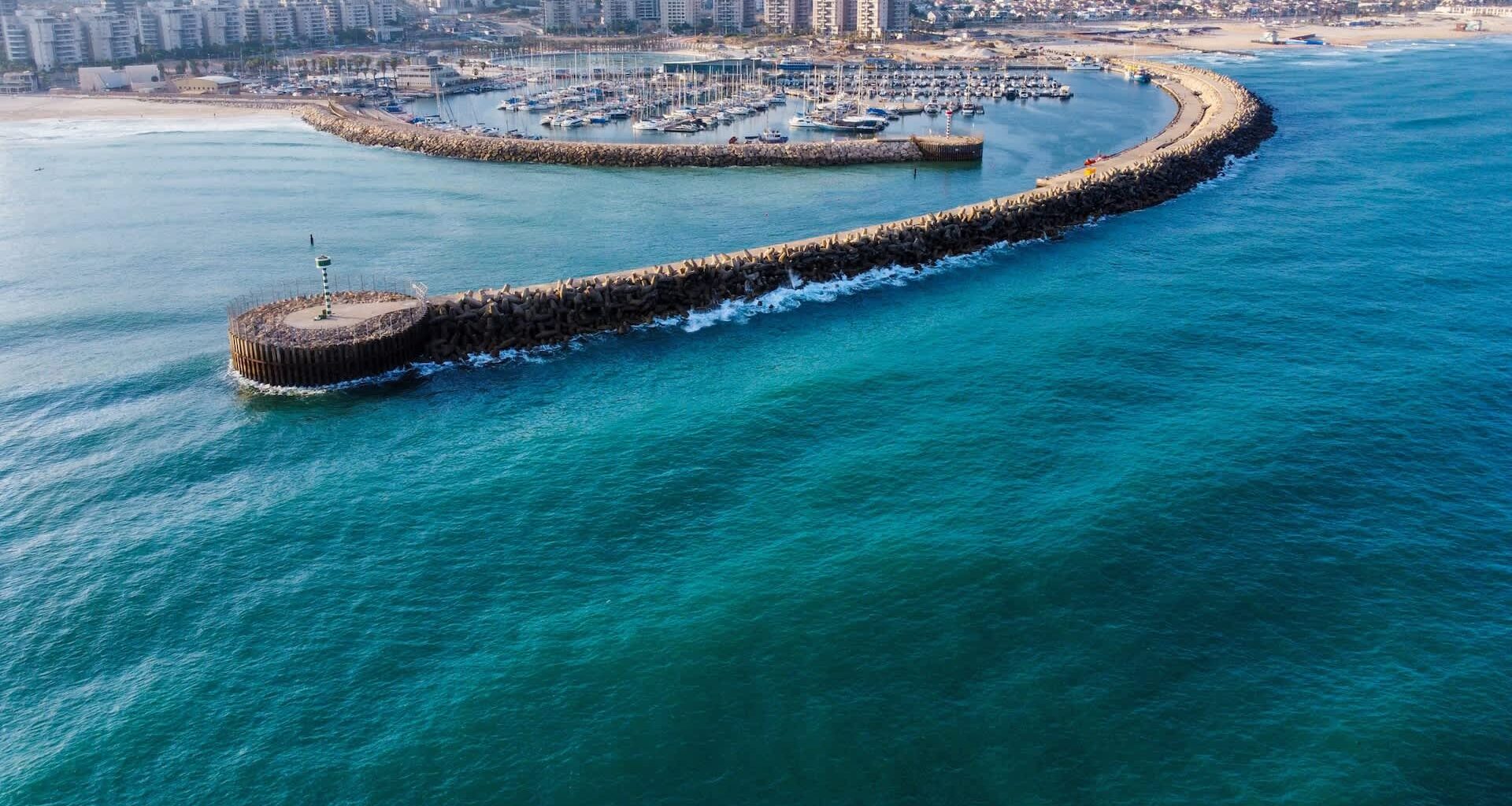 Swimmers at an Ashdod beach witnessed an astonishing sight when a huge fin surfaced nearby, revealing a whale shark.