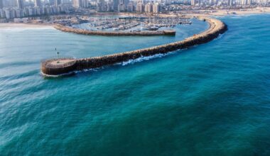 Swimmers at an Ashdod beach witnessed an astonishing sight when a huge fin surfaced nearby, revealing a whale shark.