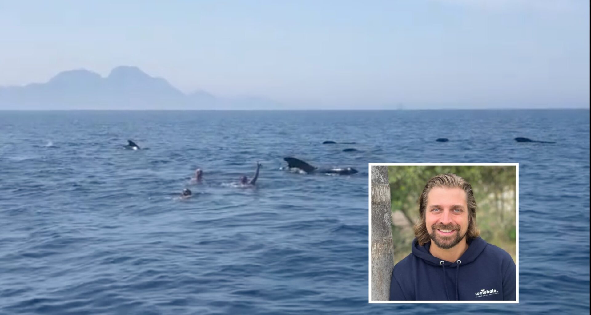 Swimming with whales in Gibraltar Strait prompts calls for more education