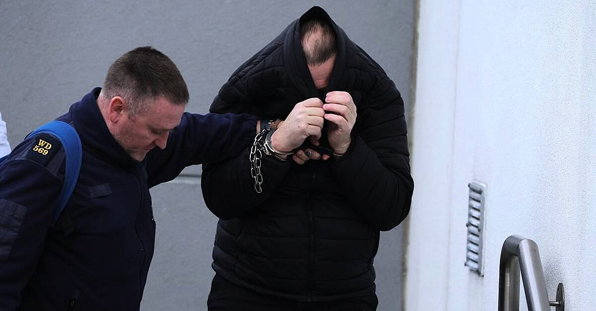 Wicklow man branded a 'monster' sentenced to three years for indecent assault of young girl