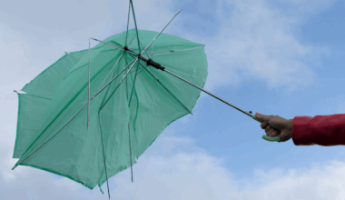 Yellow wind warning issued for Tyrone and Derry tomorrow - Highland Radio