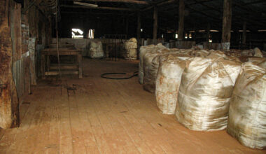 Soft sentiment and high supply test the market