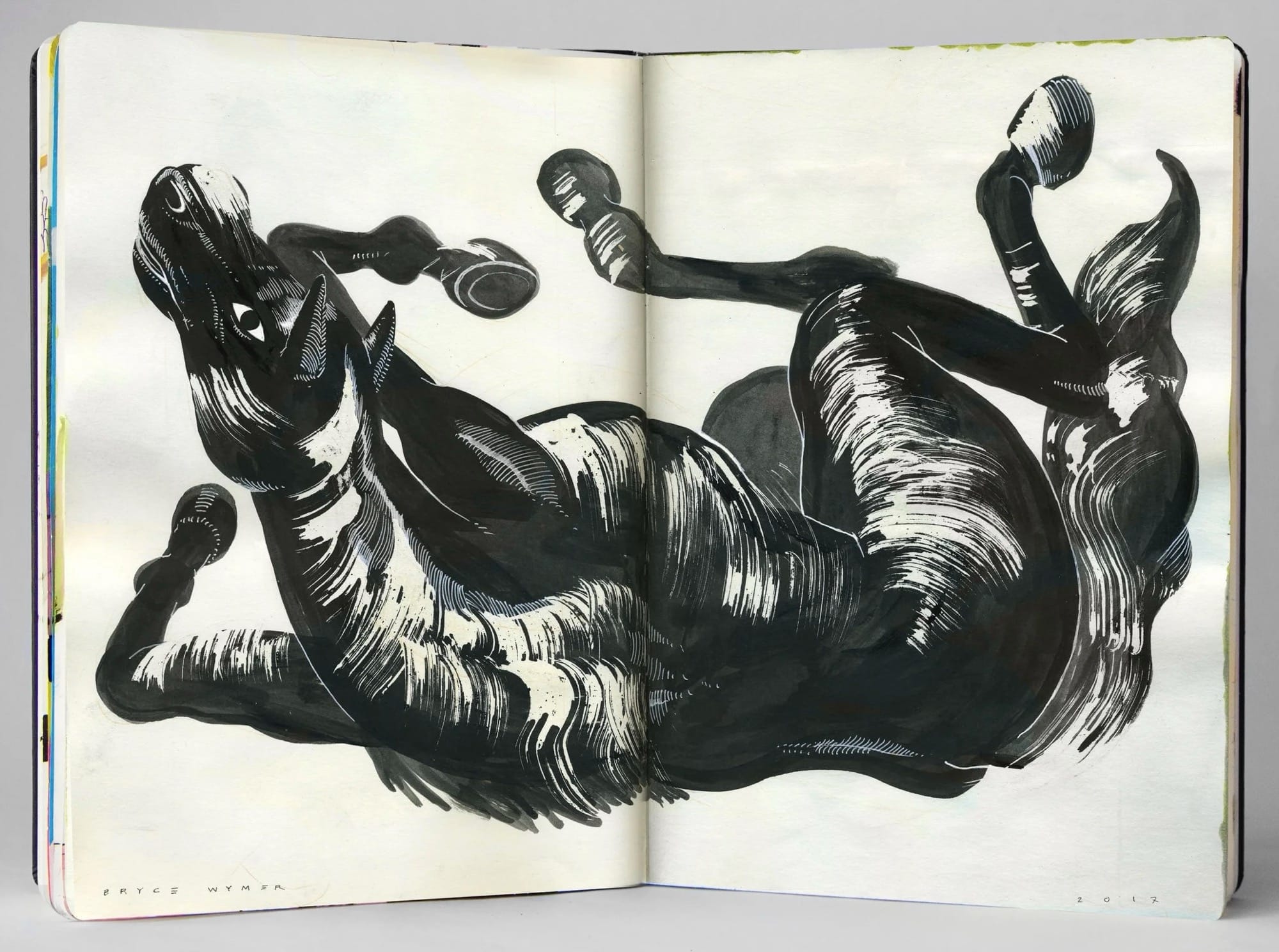 a sketchbook spread by Bryce Wymer of a sketchy horse rolling on its side