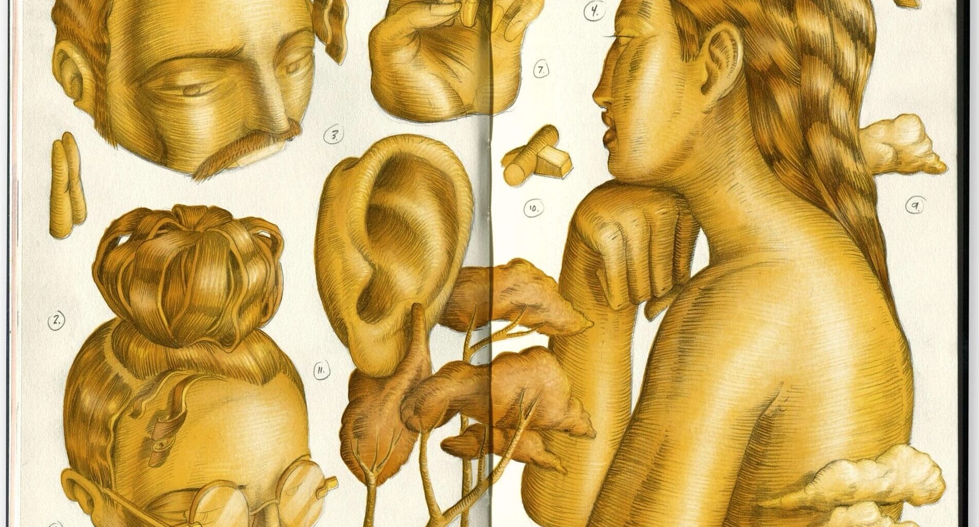 a sketchbook spread of gold-colored fragments of the human body, including an ear, hand, face, and shoulder and neck