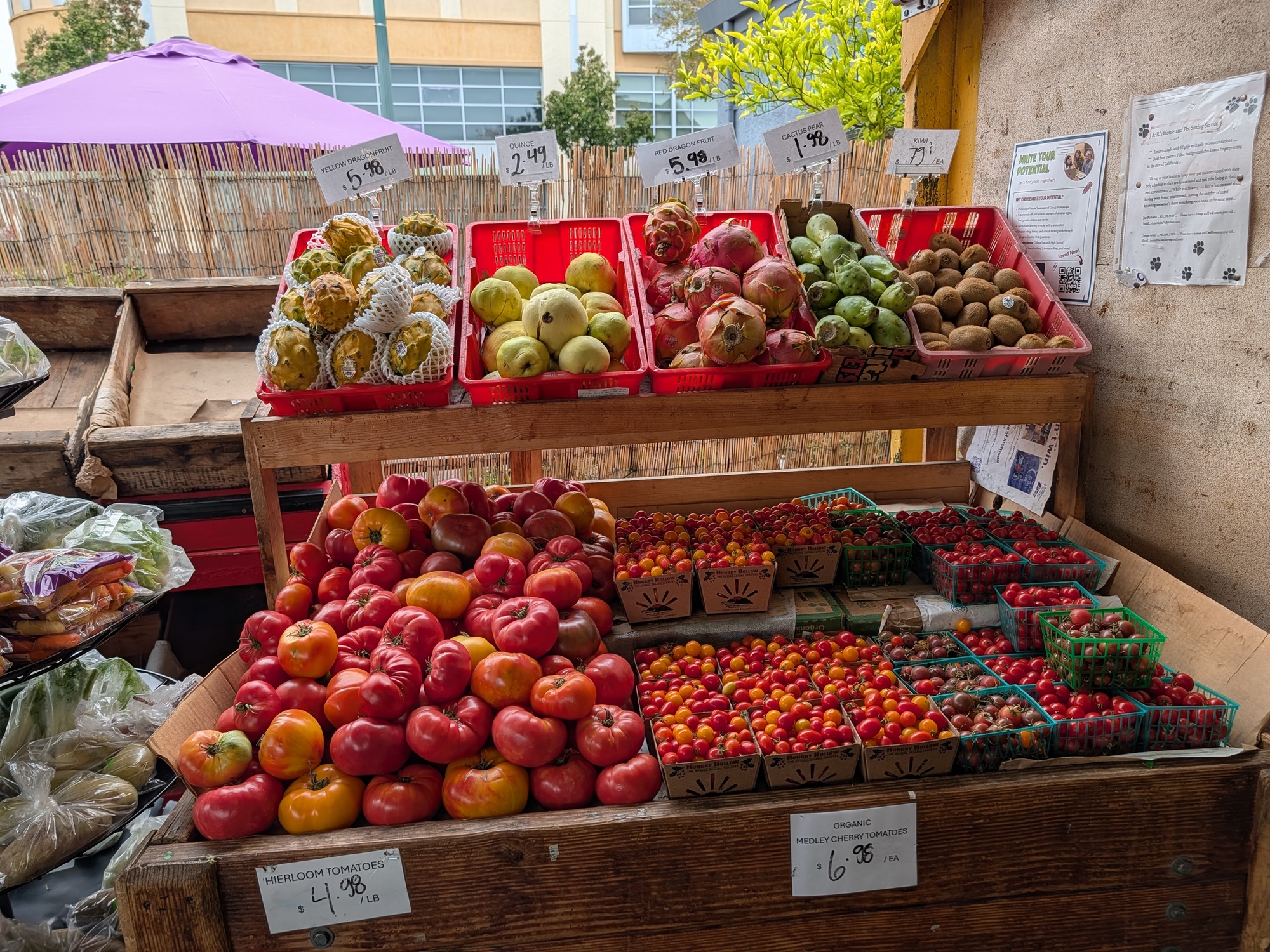 Tomatoes shot by Pixel 10 Pro