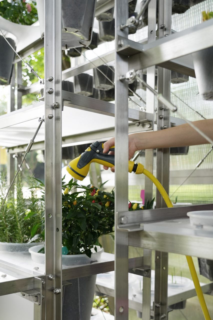 Close-up of hand watering some flowers