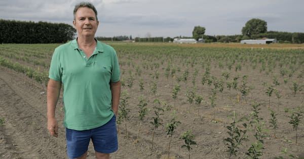 Orchardists reject Luxon's claim sector is 'crying out' for workers