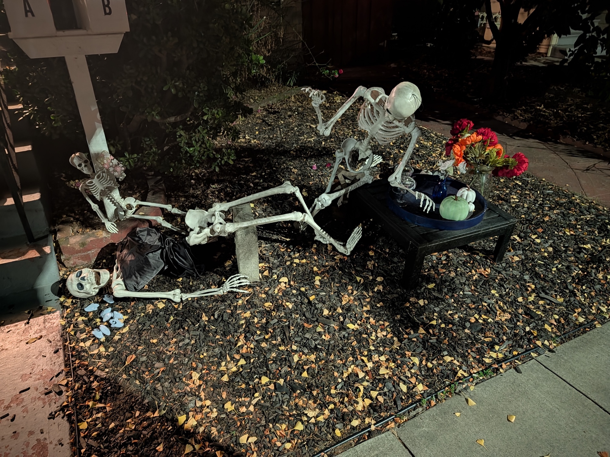 Yard skeletons by Pixel 10 Pro