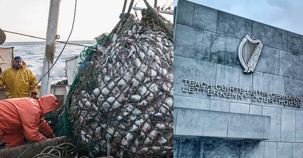 Leading Donegal fish processor cleared of 'fish weighing charges" after three day trial