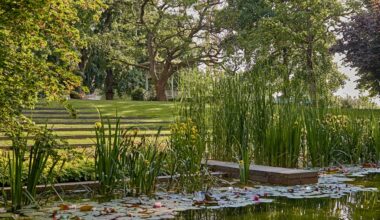 Fondation Beyeler and CHANEL Name First Botanical Curator