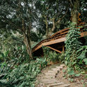 Fig Tree House / Estúdio Lava - Exterior Photography, Wood, Garden, Stairs