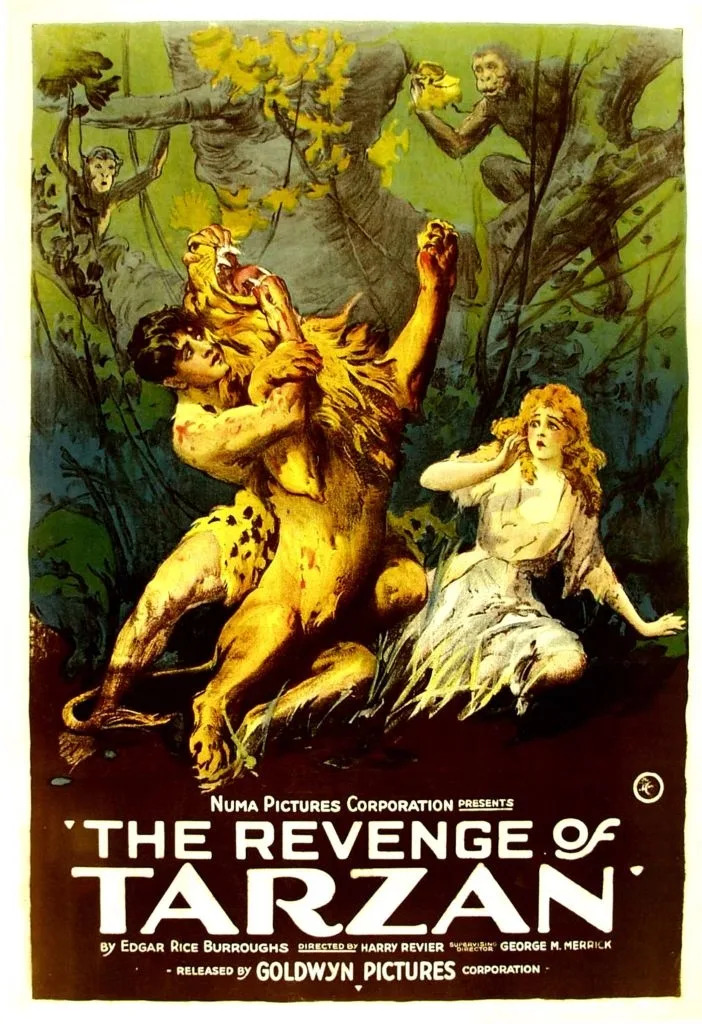 Vintage movie poster for "The Revenge of Tarzan" shows Tarzan in action with a lion and a distressed woman in the jungle