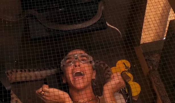 Vogue takes on tonight's trial