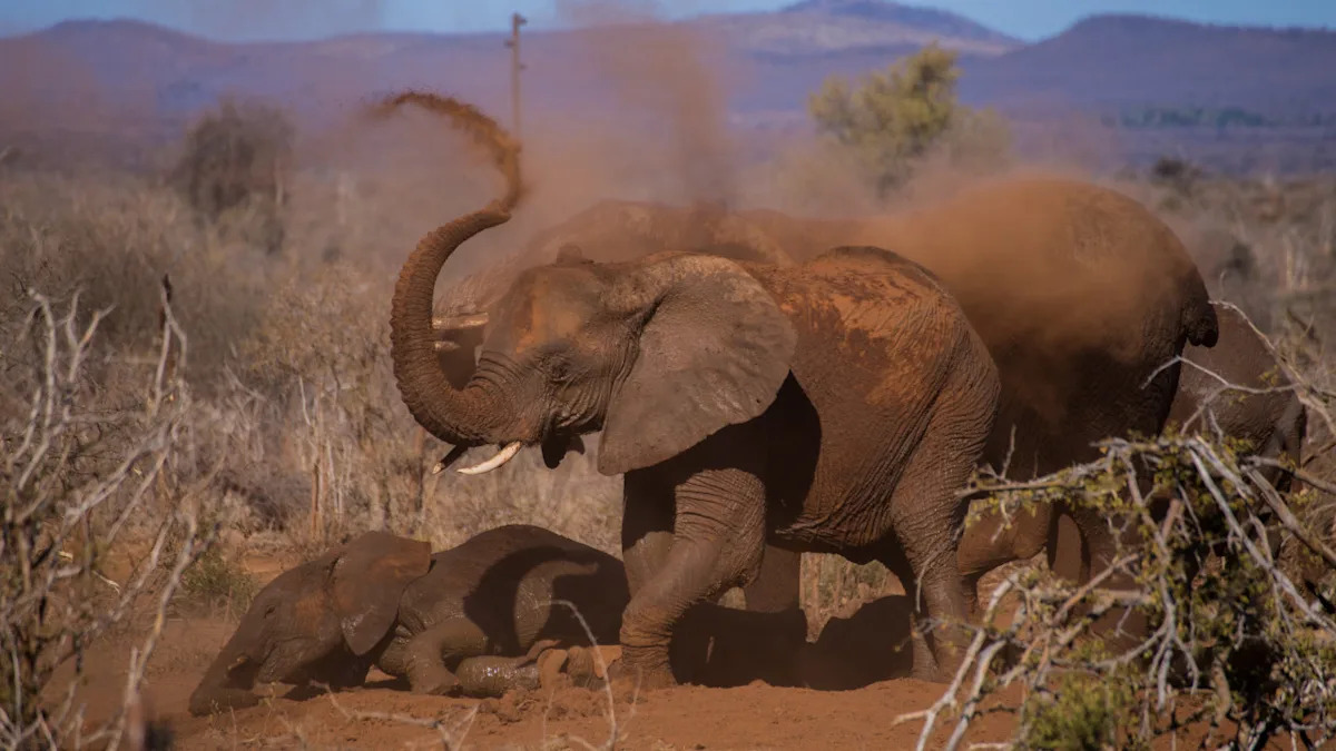 Yahoo lifestyle home