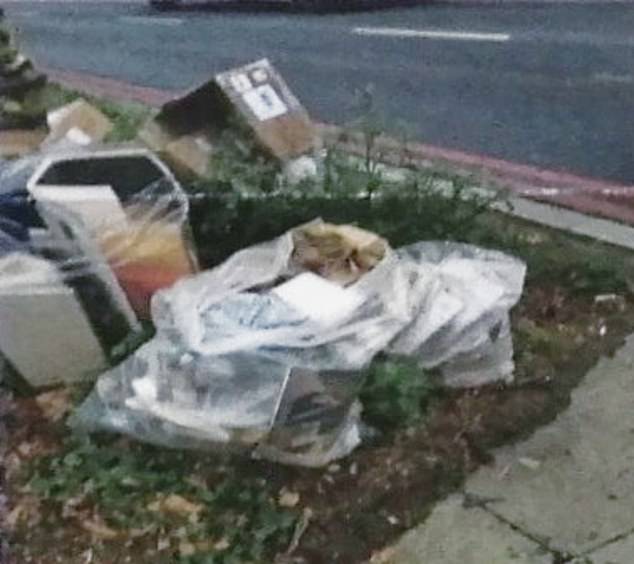 The recycling left out for collection on Ms Muir's road in Ealing, West London