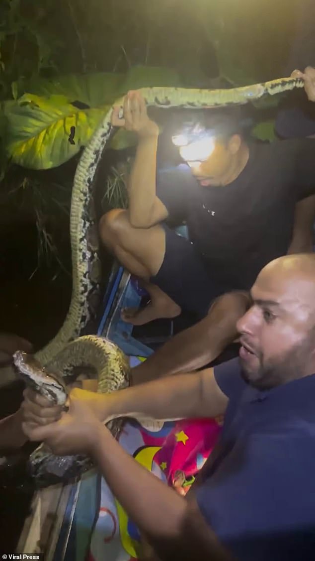 It took two other men, one grabbing the python's head and the other its tail, to free Heru from its grasp after it coiled itself around him underwater