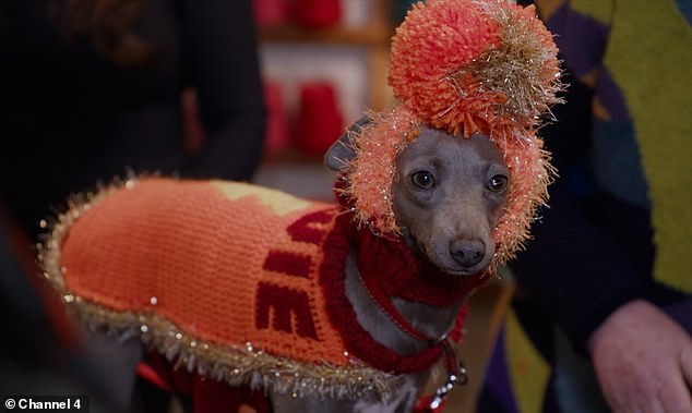 A number of viewers noted that the dogs looked ¿sad¿ and that their ¿tails weren¿t wagging¿ as much as they should have been.