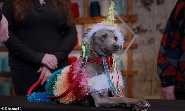 Animal rights charity Peta blasting the show for putting clothes on dogs, at the risk of causing them 'discomfort and stress'