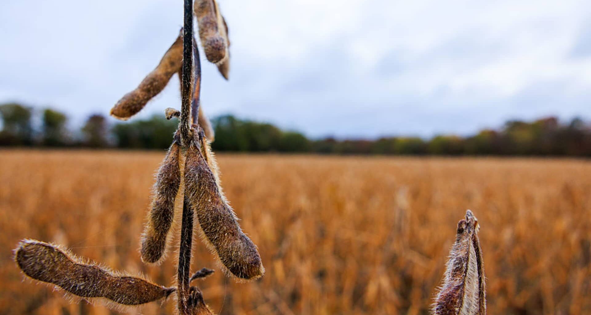 Tariffs steal spotlight as AI frenzy seems to fade