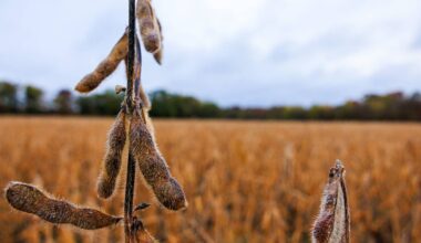 Tariffs steal spotlight as AI frenzy seems to fade